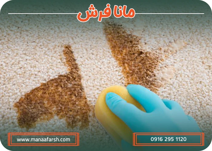پیشگیری از لکه چای روی فرش کرم